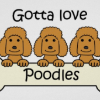 Poodle Fixer