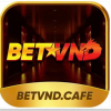 betvndcafe