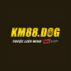 km88dog