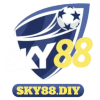 sky88diy1
