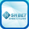shbet77live