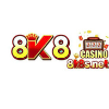 8k8snet