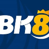 bk8vnchannel