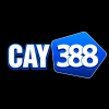 Cay388cam