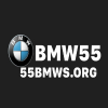 55bmwsorg1