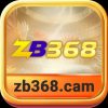 zb368cam