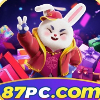 87pcorg
