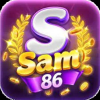 sam86innet1