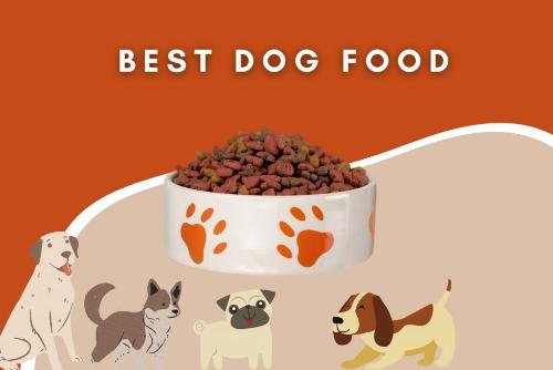 dropship pet food